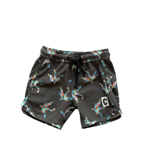 Boardies in Dragon Flight